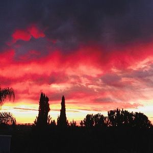 Meet your Posher, Sophia